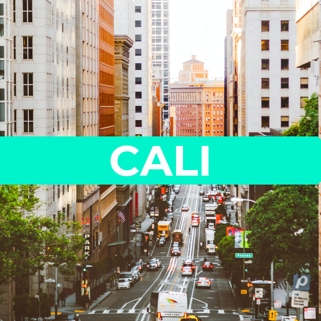 VUE CALI